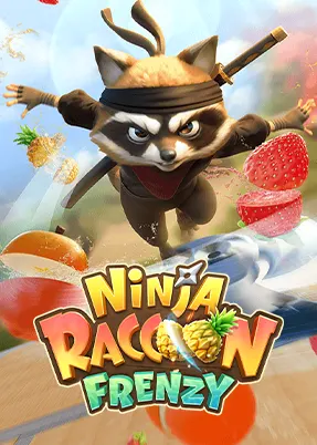 Ninja Racoon Frenzy